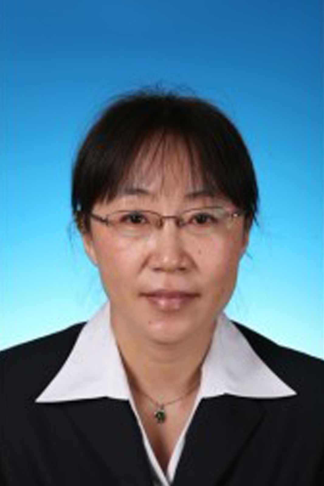 Chunlei Zhou