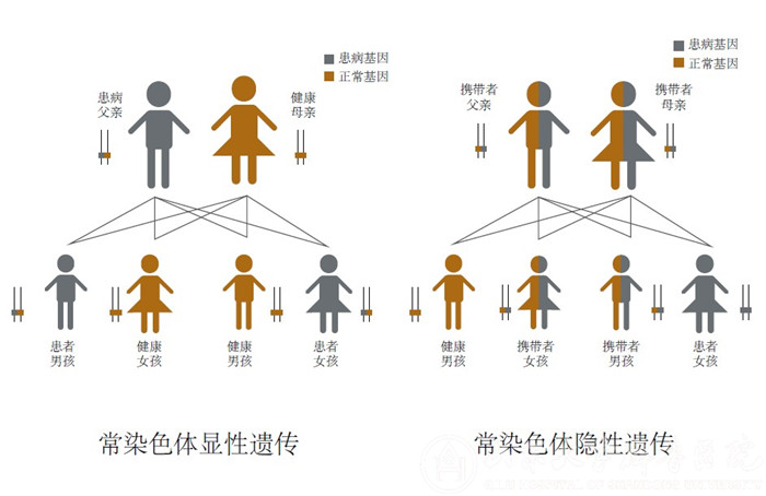 医院遗传病多学科门诊正式成立