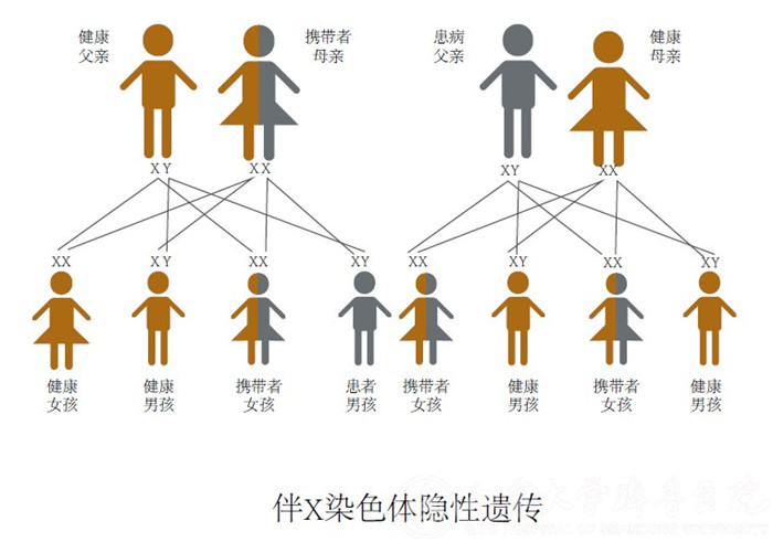 医院遗传病多学科门诊正式成立